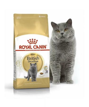 ROYAL CANIN British shorthair adult for cats 4 kg British - Buy Online on GoSupps.com