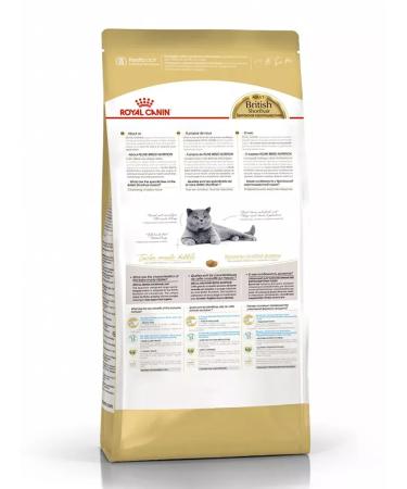 ROYAL CANIN British shorthair adult for cats 4 kg British - Buy Online on GoSupps.com