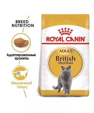 ROYAL CANIN British shorthair adult for cats 4 kg British - Buy Online on GoSupps.com
