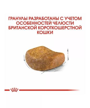 ROYAL CANIN British shorthair adult for cats 4 kg British - Buy Online on GoSupps.com