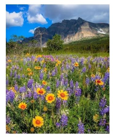 Honey of the Mamdeev family Mountain honey 4 kg urbech sweets pp - Buy Online on GoSupps.com