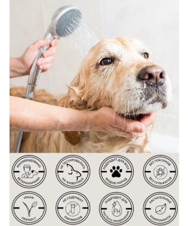 animals boutique Premium shampoo for dogs with biotin High quality uh - Buy Online on GoSupps.com