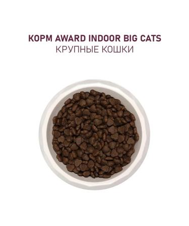 AWARD Dry food for large cats beef chicken 1.5 kg - Buy Online on GoSupps.com