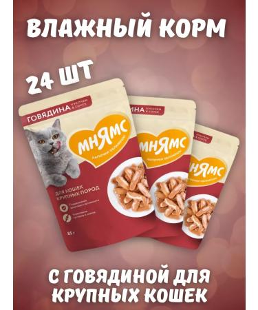 Mnyams Wet feed pieces in a sauce with beef 85 g 24pcs