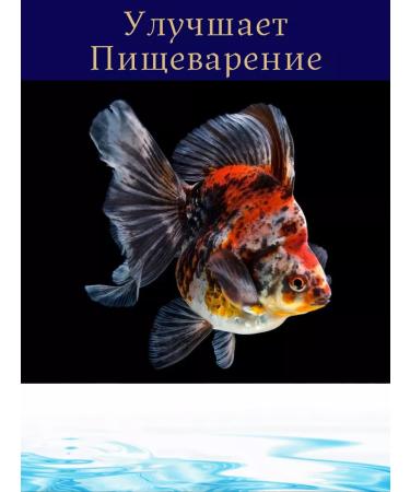 Terraoptima Flakes 100 grams of food for aquarium fish - Buy Online on GoSupps.com