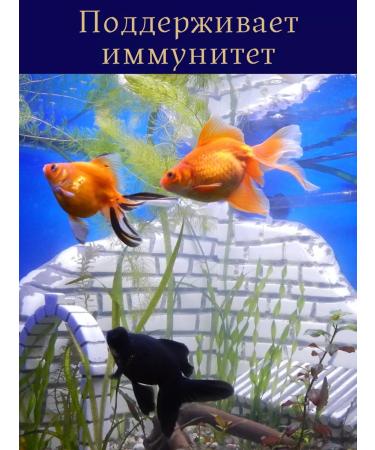 Terraoptima Flakes 200 grams of fish food for aquarium fish - Buy Online on GoSupps.com