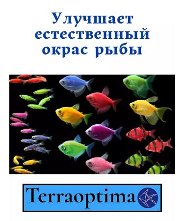 Terraoptima Flakes 200 grams of fish food for aquarium fish - Buy Online on GoSupps.com