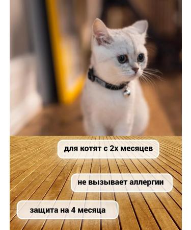 BioCat Collar from cat fleas 2 pcs - Buy Online on GoSupps.com