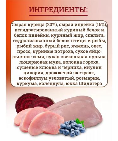 CRAFTIA Dry food for adult dogs 2 kg - Buy Online on GoSupps.com