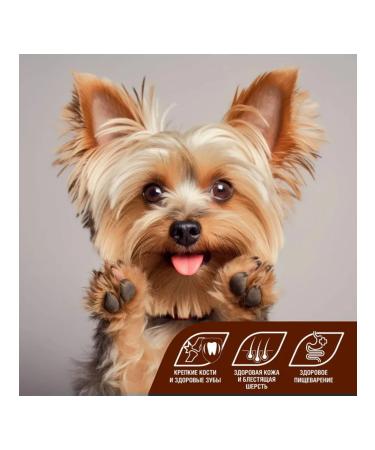 Zoogourman Dry food for small medium dogs turkey 10 kg - Buy Online on GoSupps.com