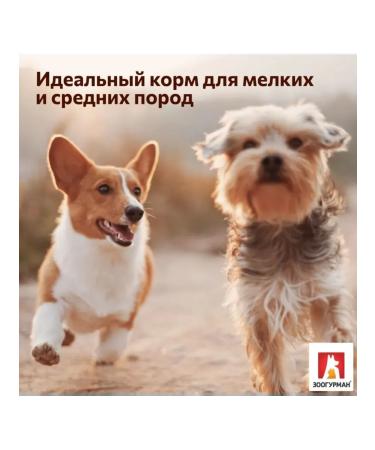 Zoogourman Dry food for small medium dogs turkey 10 kg - Buy Online on GoSupps.com