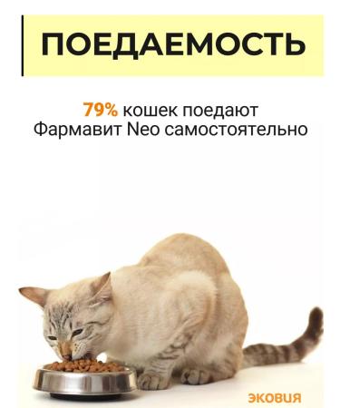 Farmavit Neo A complex of vitamins for elderly cats 1 - Buy Online on GoSupps.com