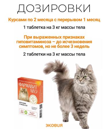 Farmavit Neo A complex of vitamins for elderly cats 1 - Buy Online on GoSupps.com