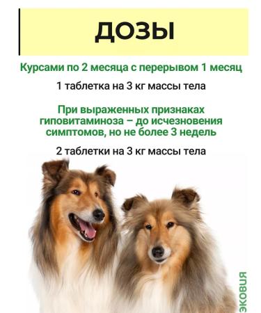 Farmavit NEO A complex of vitamins for dogs perfection of wool 1 - Buy Online on GoSupps.com
