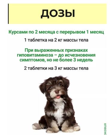 Farmavit Neo A complex of vitamins for puppies growth energy 1 - Buy Online on GoSupps.com