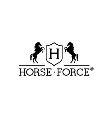 Horsepower Shampoo against dandruff and hair loss for men 400ml - Buy Online on GoSupps.com