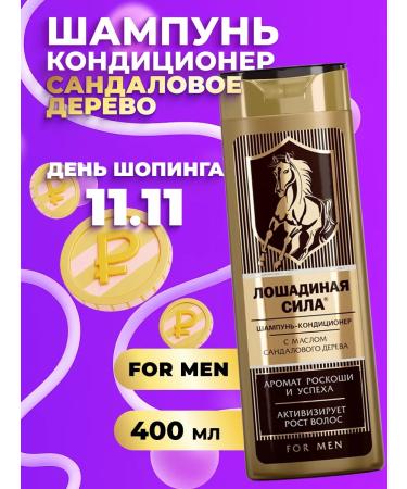 Horsepower Shampoo air conditioning men's 2V1 400ml
