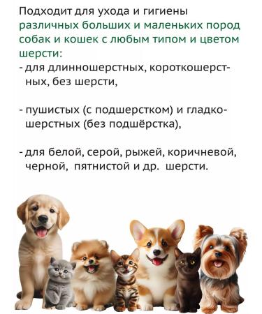 Green Day Eco shampoo for puppies and kittens from the first days of life - Buy Online on GoSupps.com