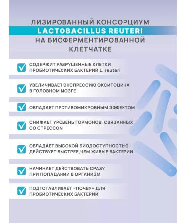 Artlife Panbiolakt mental 60 caps - Buy Online on GoSupps.com