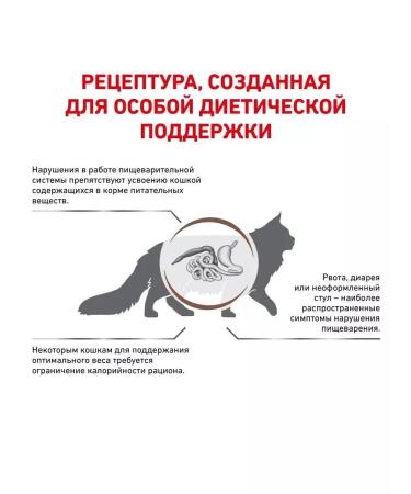 ROYAL CANIN GastroinTestinal Moderate Calorie for cats 2 kg - Buy Online on GoSupps.com