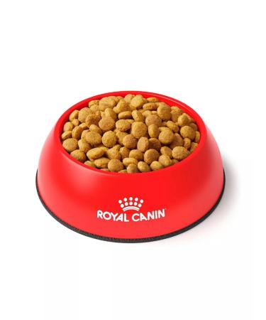 ROYAL CANIN GastroinTestinal Moderate Calorie for cats 2 kg - Buy Online on GoSupps.com