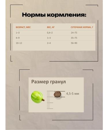 SAVITA Dry food for kittens with salmon and white fish 2 kg - Buy Online on GoSupps.com