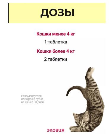 Vit-Active A complex of vitamins for castrated cats and cats 1 - Buy Online on GoSupps.com