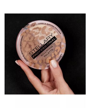 Stellary Face contouring Face Sculptor 02 - Buy Online on GoSupps.com