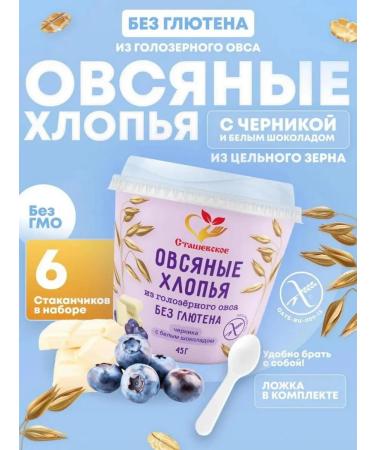 Stashevskoe Oatmeal without gluten with chocolate and blueberry 6B1