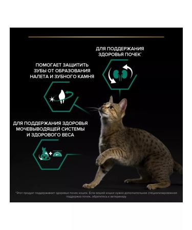 PRO PLAN Feed for sterilized cats with turkey 10 kg - Buy Online on GoSupps.com