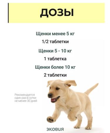 Vit-Active A complex of vitamins for puppies 1 - Buy Online on GoSupps.com