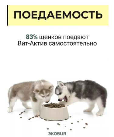 Vit-Active A complex of vitamins for puppies 1 - Buy Online on GoSupps.com