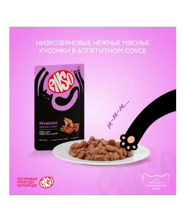 Enso Cat food for a wet lamb in a sauce 85 g 24 pcs - Buy Online on GoSupps.com