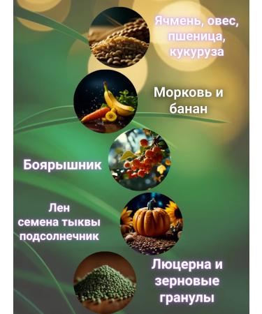 Rabbit food large package 2 kg - Buy Online on GoSupps.com