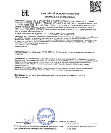 Himani Boro Plus Balm for the lip mint 10ml - 2 pcs - Buy Online on GoSupps.com