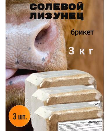 Your Farm Salt Lizunets