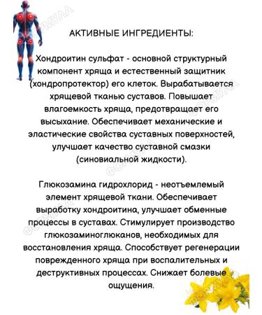 Joint Gel balm chondroitin with glucosamine - Buy Online on GoSupps.com