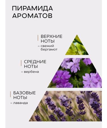 Sila gor Perfumed moisturizing shower gel with bergamot - Buy Online on GoSupps.com