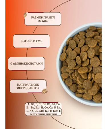 Brit Dry food for dogs 15 kg - Buy Online on GoSupps.com