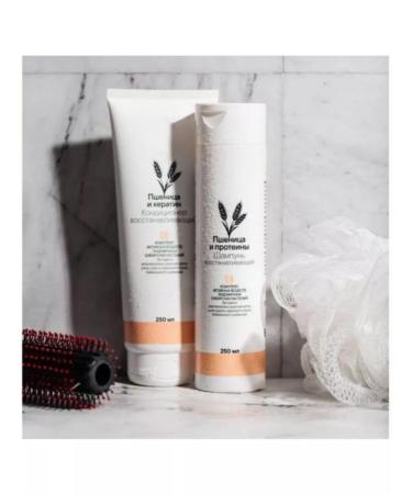 SIBERIAN WELLNESS The shampoo is restored - Buy Online on GoSupps.com