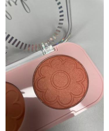 Professional style Compact blush 02 - Buy Online on GoSupps.com