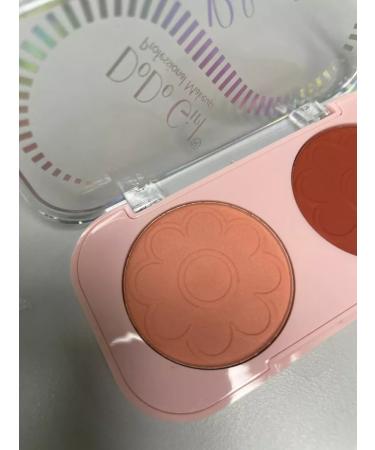 Professional style Compact blush 03 - Buy Online on GoSupps.com