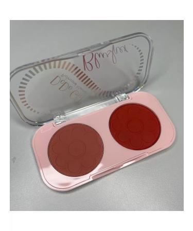 Professional style Compact blush 04