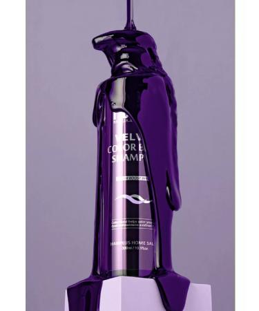 HAIRPLUS Toning hair shampoo Professional Hair+ - Buy Online on GoSupps.com