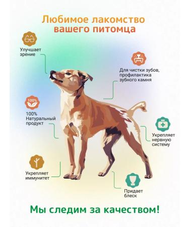 Twins Trachea of beef treats for dogs - Buy Online on GoSupps.com