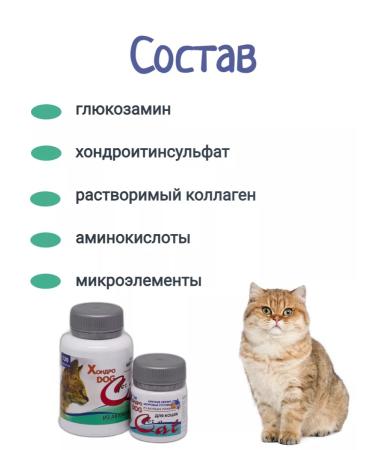 Silver Trail Chondrodog for cat joints from 10 kg 20 table - Buy Online on GoSupps.com