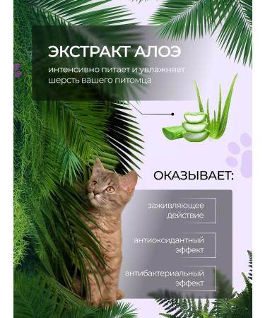 AMIGO Shampoo from stiffons for easy combing 1000 ml - Buy Online on GoSupps.com