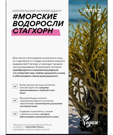 Innisfree Facial cream strengthens with collagen for skin elasticity - Buy Online on GoSupps.com