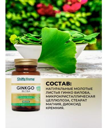 Shiffa home Ginkgo biloba in dietary supplements for memory and brain to adults - Buy Online on GoSupps.com