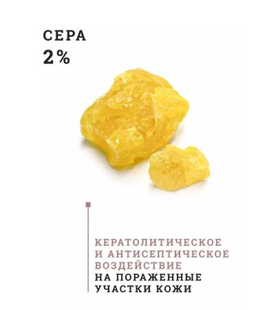 CleanAgent Shampoo for dogs antiprivorous with a gray 2% and tar 1% 1 liter - Buy Online on GoSupps.com